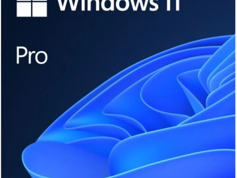Windows 11 Pro İngilizce Oem (64 Bit) FQC-10528