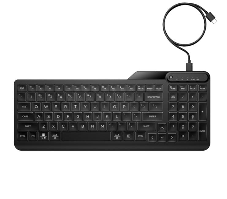 HP 405 Aydınlatmalı Kablolu Türkçe Klavye - Siyah